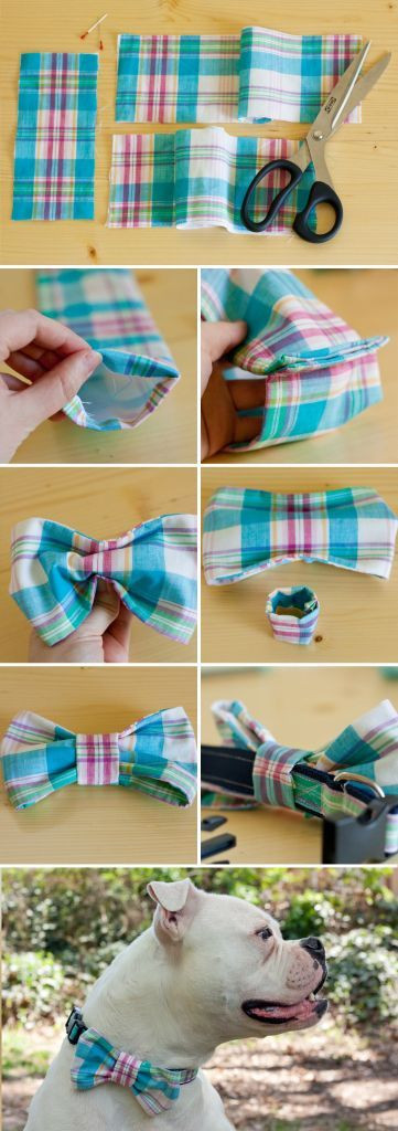 Dog Bow Tie DIY
 DIY Dog Collar Bow Tie s and for Tumblr Pinterest and Twitter