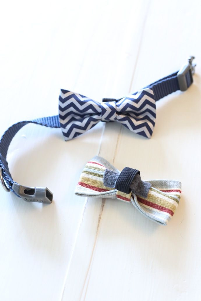 Dog Bow Tie DIY
 No Sew Dog Bow Tie Collar Slide Cute Animals
