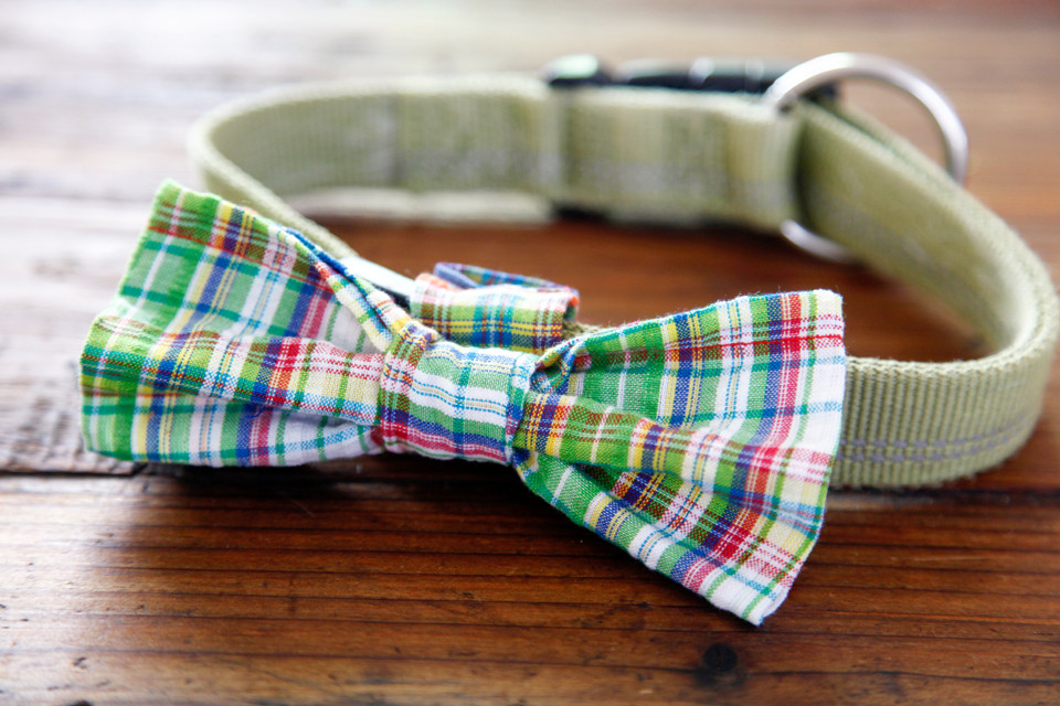 Dog Bow Tie DIY
 DIY Easy Sew Over the Collar Bow Tie for Dogs — Dalmatian DIY