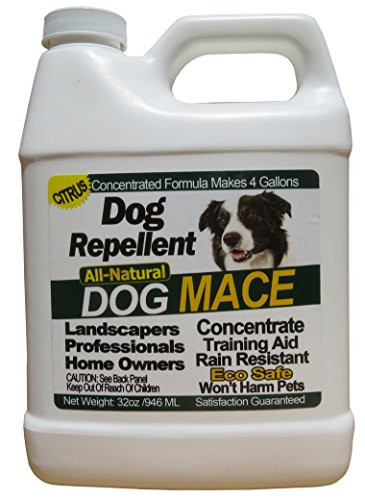 Dog Repellent Spray DIY
 Dog Repellent 32oz Concentrate Patio Lawn Garden Gardening
