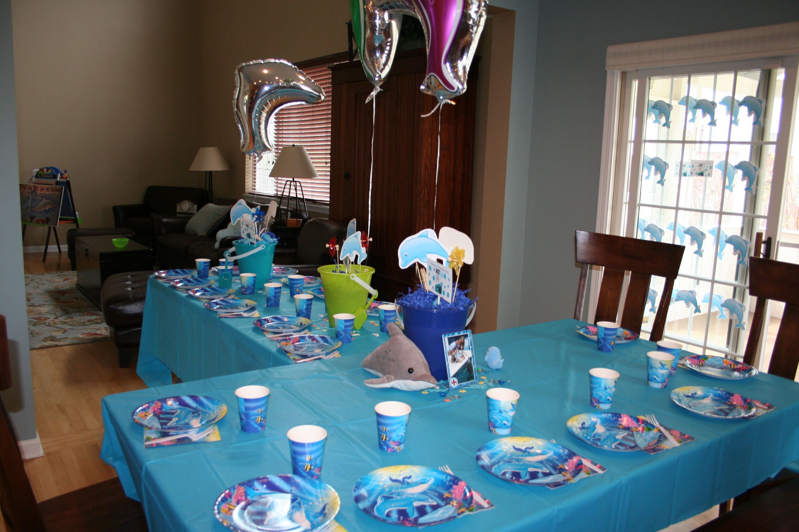 Dolphin Birthday Party
 Dolphin Tale birthday party