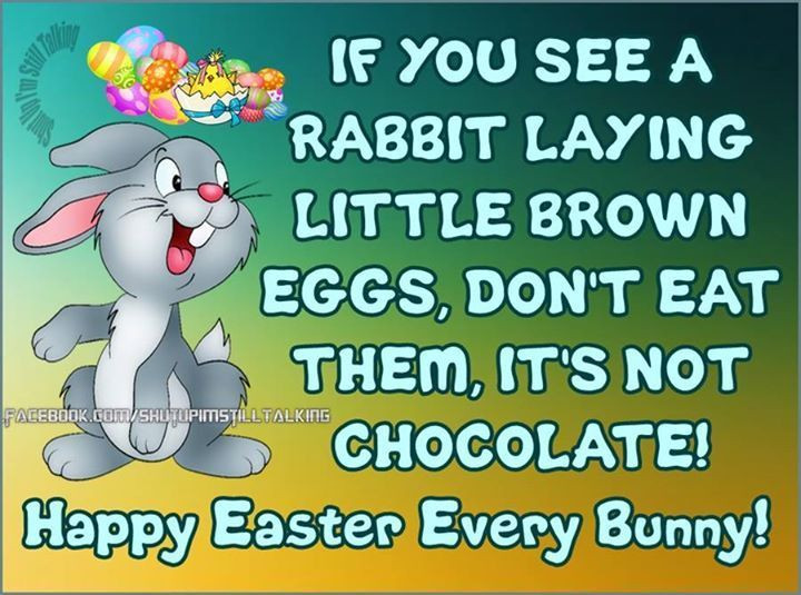Easter Quotes Funny
 Best 25 Funny easter quotes ideas on Pinterest