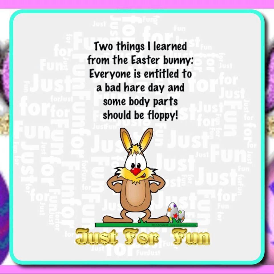 Easter Quotes Funny
 Funny Easter Quotes Inspirational QuotesGram