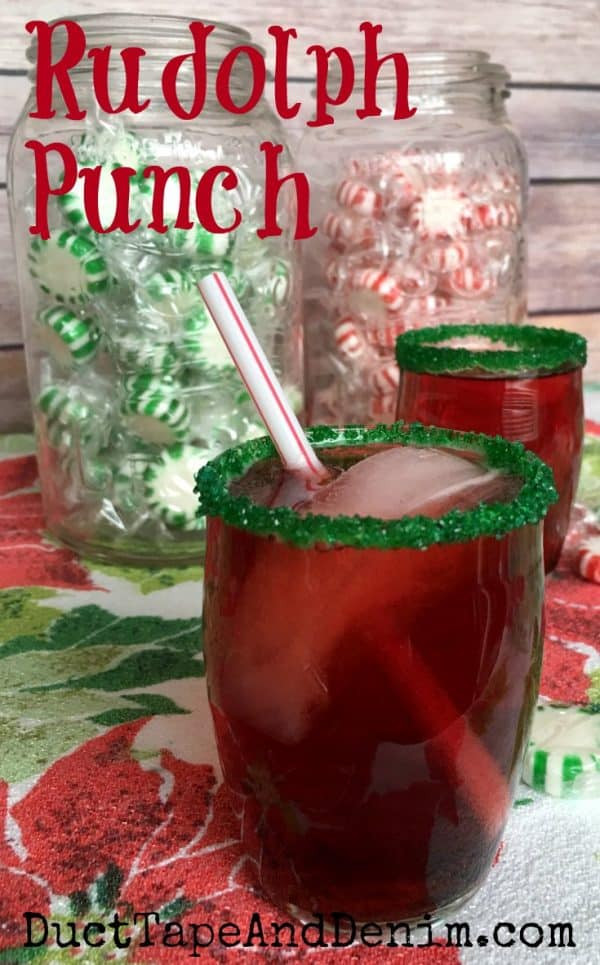 Easy Drink Recipes For Kids
 Rudolph Punch My Kids Favorite Easy Christmas Punch