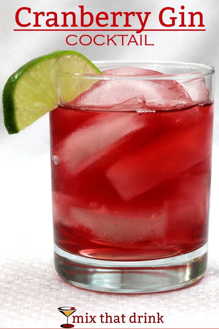 Easy Gin Drinks
 The 25 best Simple gin drinks ideas on Pinterest