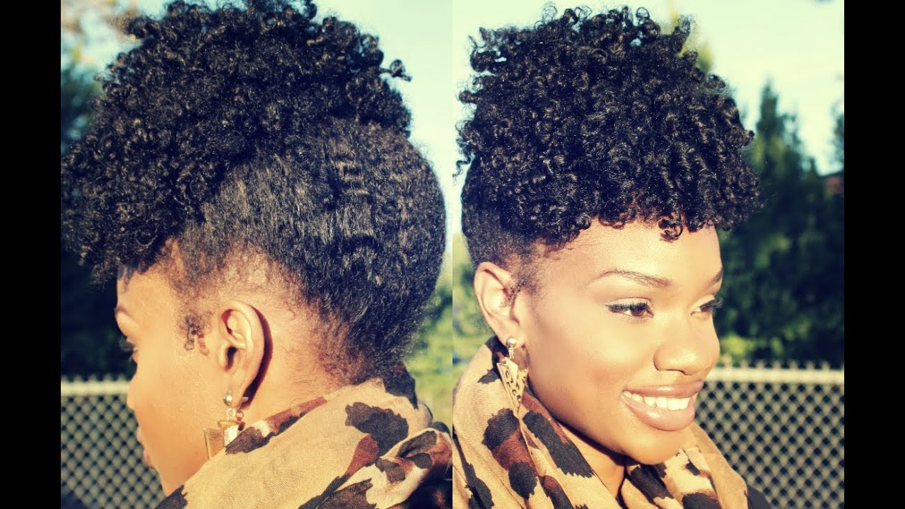Easy Twist Hairstyles For Natural Hair
 Easy Elegant Fall Twist Out Up Do Tutorial Natural Hair