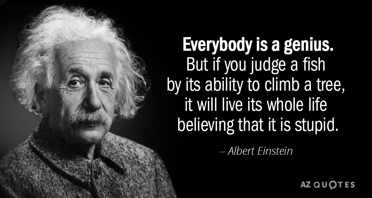 Einstein Quotes On Education
 Albert Einstein quote Everybody is a genius But if you