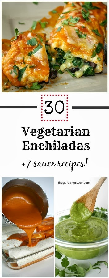 Enchilada Recipes Vegetarian
 The Garden Grazer 30 Ve arian Enchilada Recipes 7
