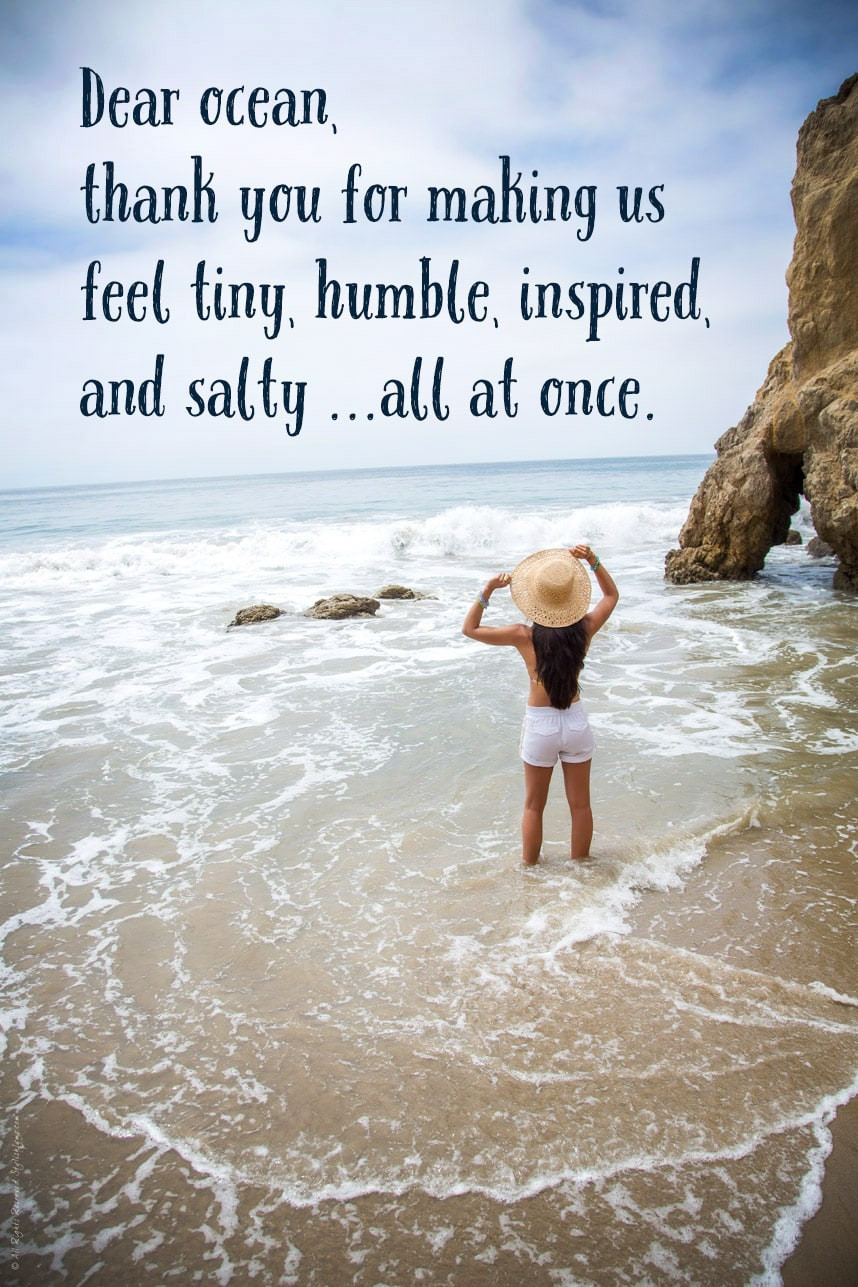 Family Beach Quotes
 117 of the Best Beach Quotes for Instagram Captions