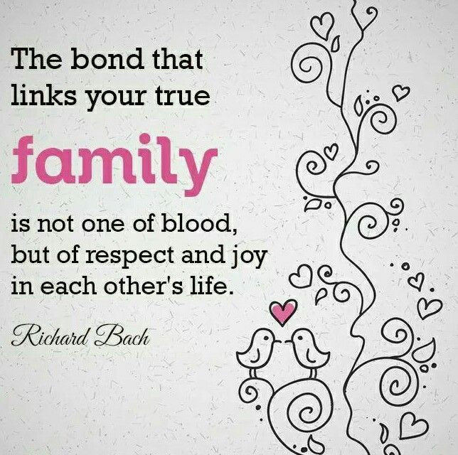 Family Bonding Quotes
 Family Bond Quotes QuotesGram