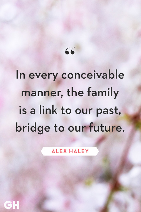 Family Picture Quote
 40 Family Quotes Short Quotes About the Importance of Family