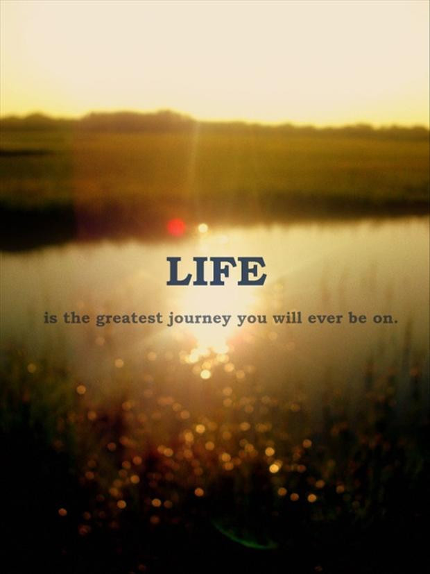 Famous Quotes About Life
 Famous Quotes About Life S Journey QuotesGram