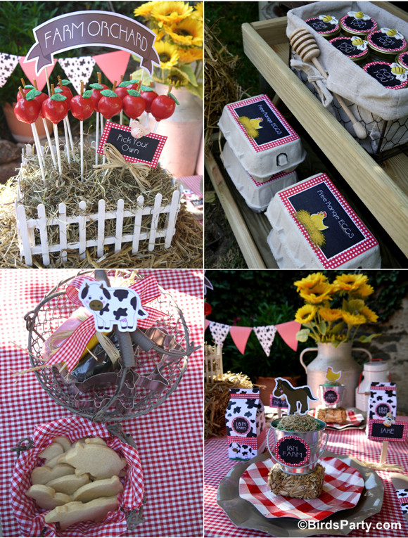 Farm Birthday Decorations
 My Kids Joint Barnyard Farm Birthday Party Party Ideas