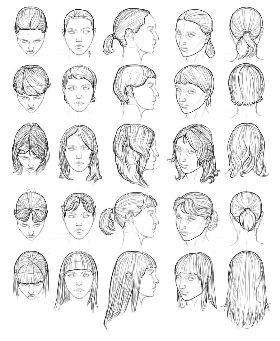 Female Hairstyles Art
 Female hair style references by Farvus on ConceptArt 1