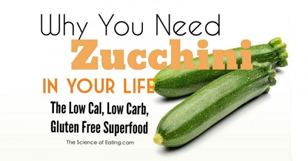 Fiber In Zucchini
 BENEFITS OF ZUCCHINI Culination Magazine