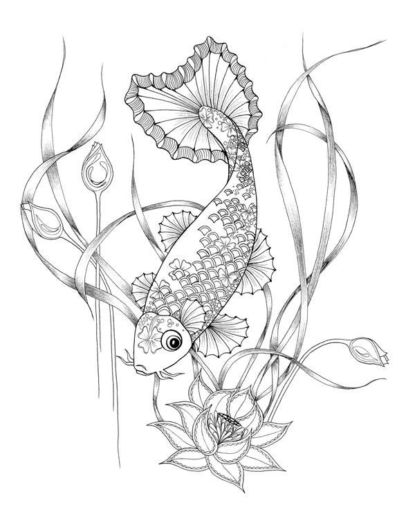 Fish Adult Coloring Pages
 Coloring Pages for adults Digital of a Koi fish for