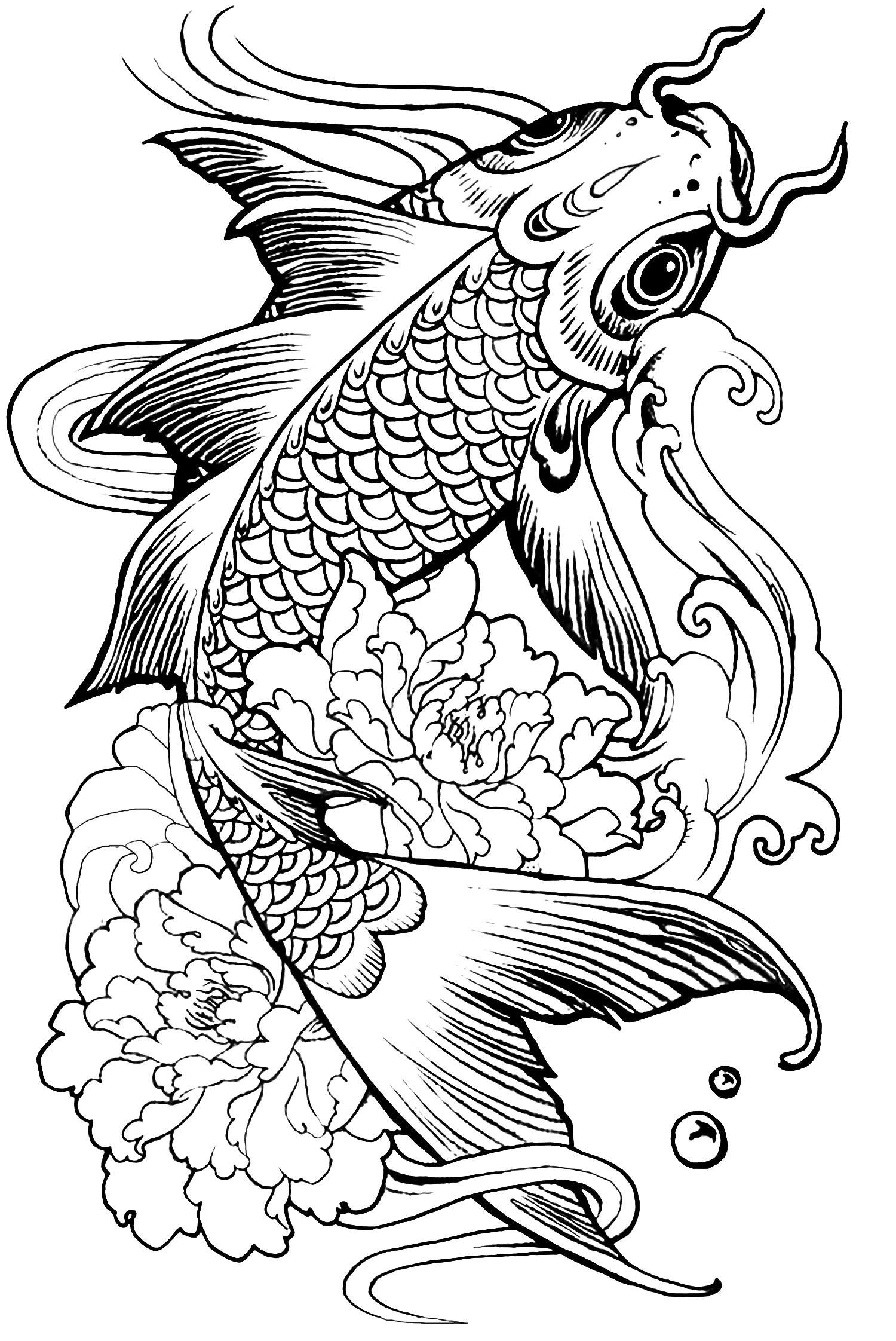 Fish Adult Coloring Pages
 plex fish carp