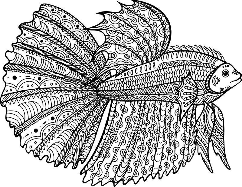 Fish Adult Coloring Pages
 Betta Fish Hand Drawn Coloring Page Stock Vector
