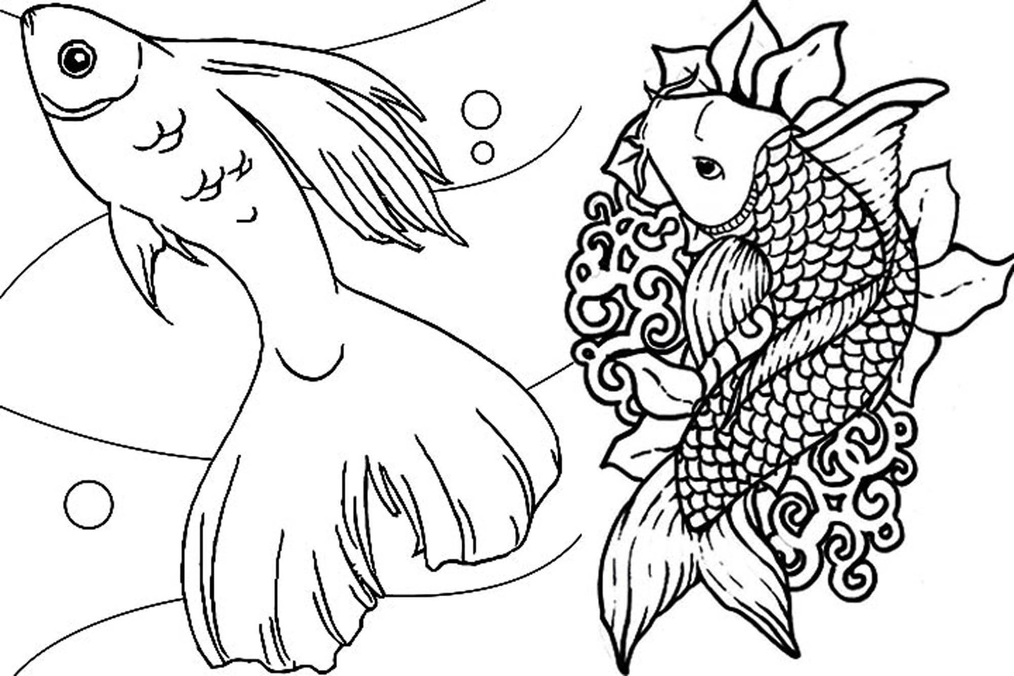 Fish Adult Coloring Pages
 Print & Download Cute and Educative Fish Coloring Pages