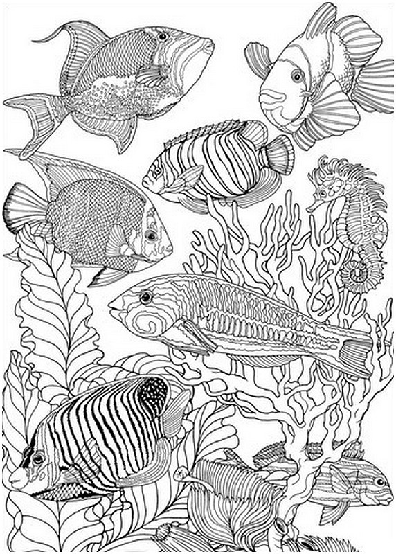 Fish Adult Coloring Pages
 1000 images about iColor "Underwater" on Pinterest