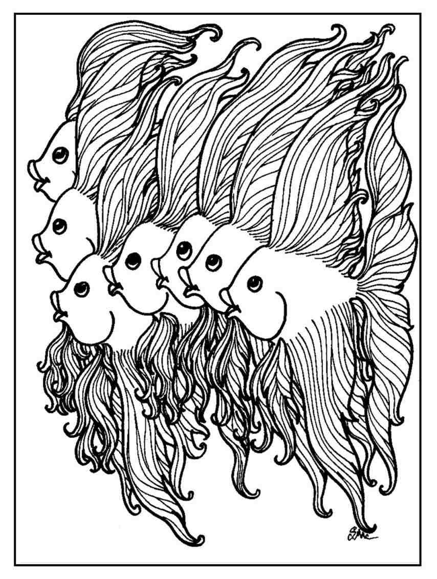 Fish Adult Coloring Pages
 Funny Fish Coloring Pages – S Mac s Place to Be