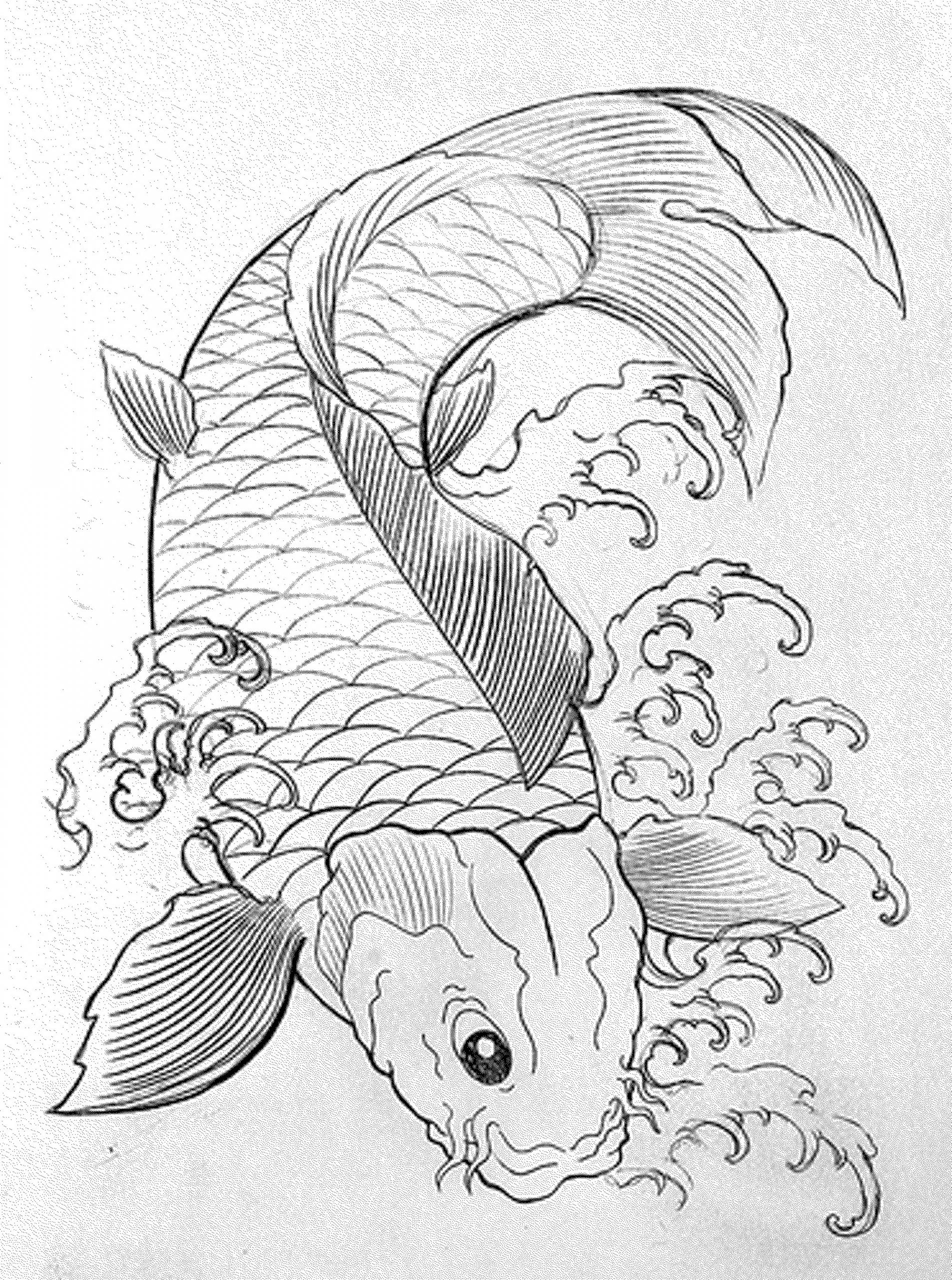 Fish Adult Coloring Pages
 Print & Download Cute and Educative Fish Coloring Pages