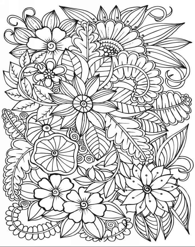 Floral Coloring Books For Adults
 Adult Coloring Books Amazing Coloring Book for Adults