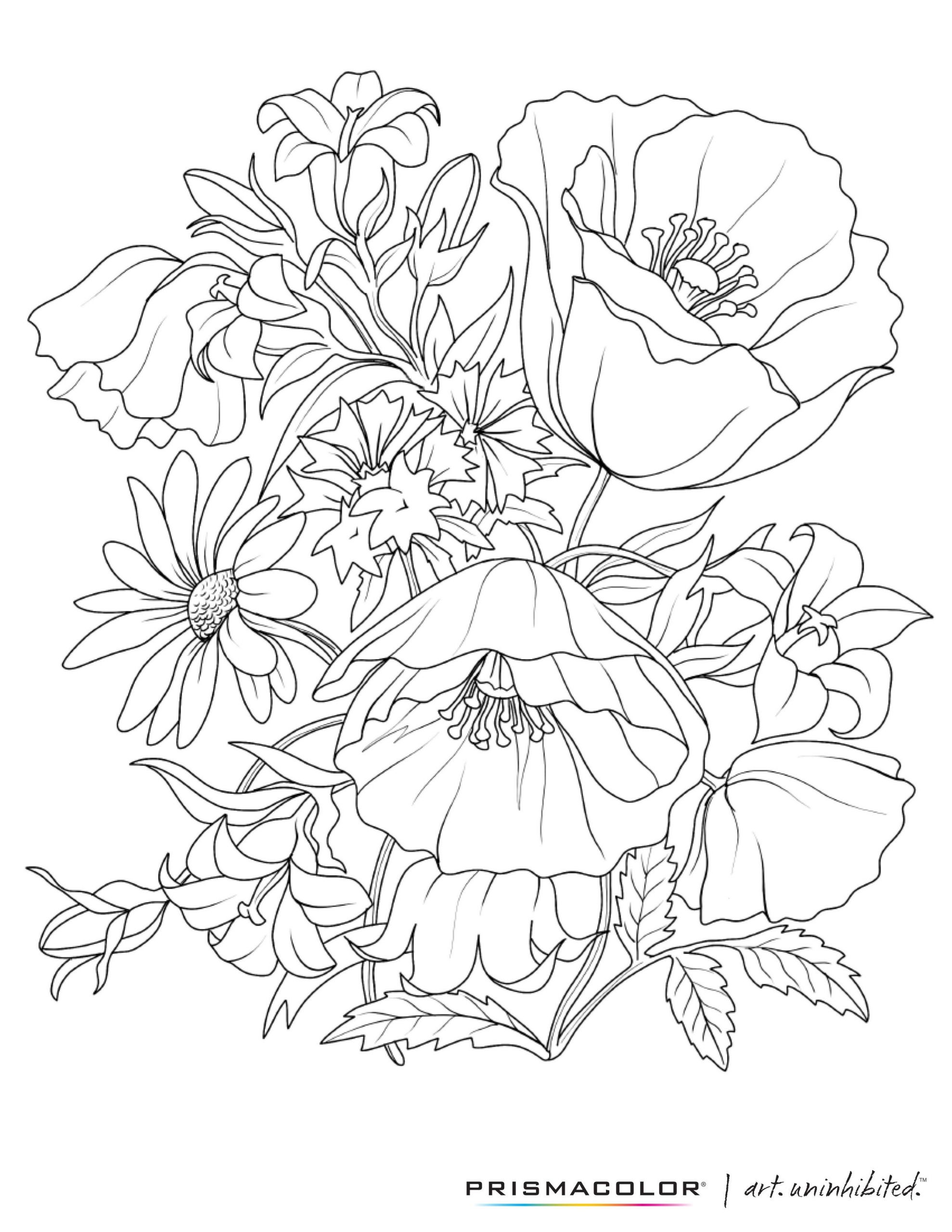 Floral Coloring Books For Adults
 What a beautiful flower adult coloring page
