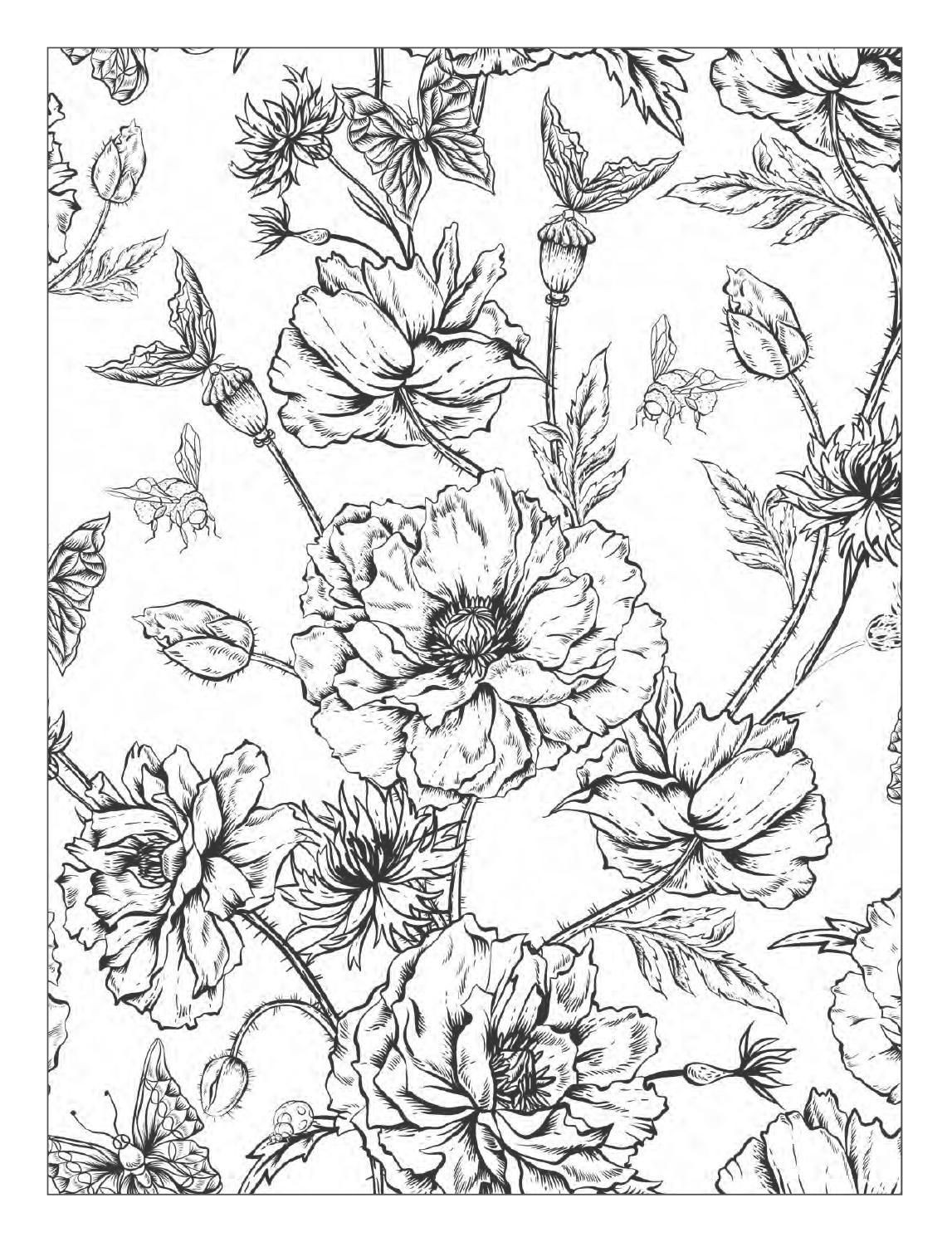 Floral Coloring Books For Adults
 Beautiful Flowers Detailed Floral Designs Coloring Book