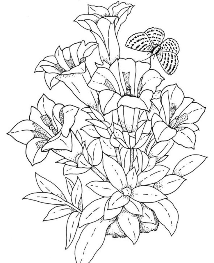 Floral Coloring Books For Adults
 Realistic Flower Coloring Pages
