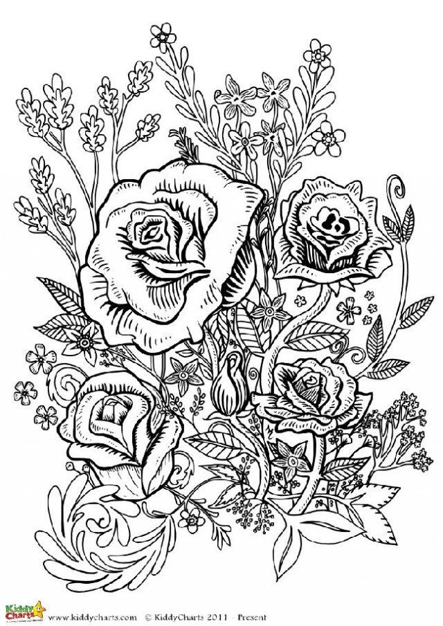 Floral Coloring Books For Adults
 Four free flower coloring pages for adults