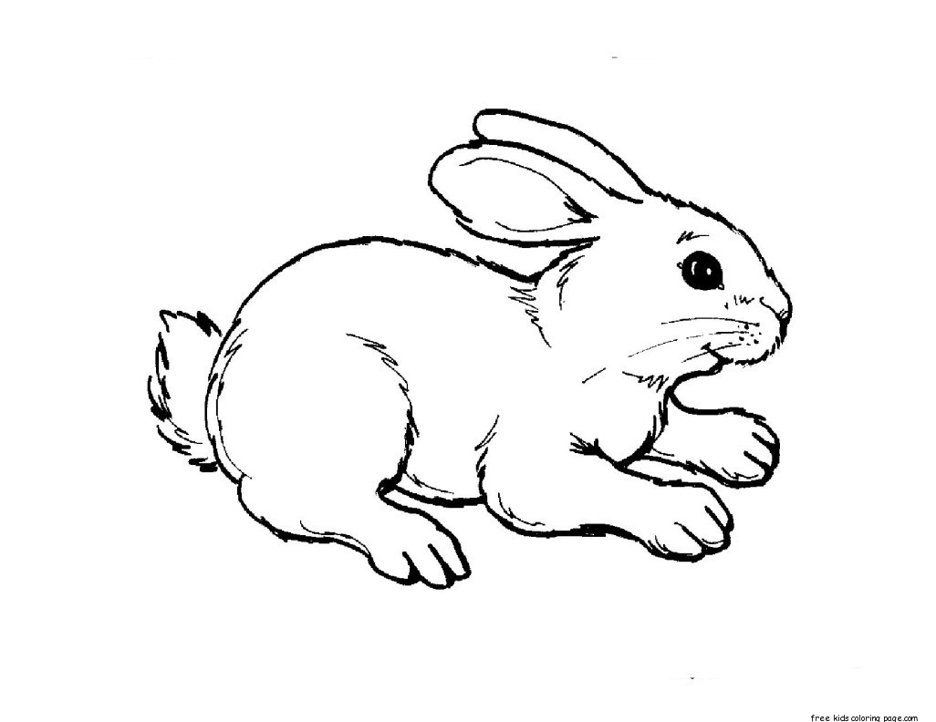 Free Animal Coloring Pages For Kids
 Print out animal rabbit pictures Colouring pages for
