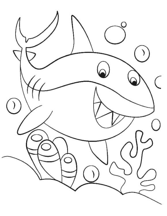 Free Baby Shark Coloring Pages
 Baby Shark Coloring Page Coloringpagebase