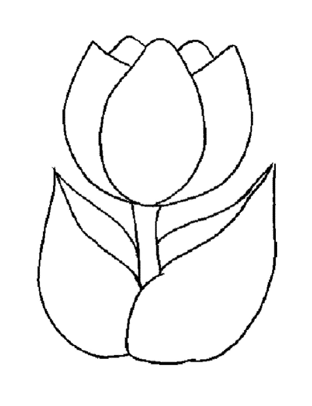 Free Coloring Pages For Girls Flowers
 flower coloring pages for girls