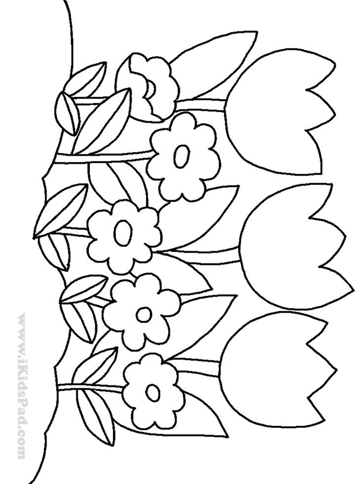 Free Flower Coloring Pages For Kids
 row of tulip flowers coloring pages for kids