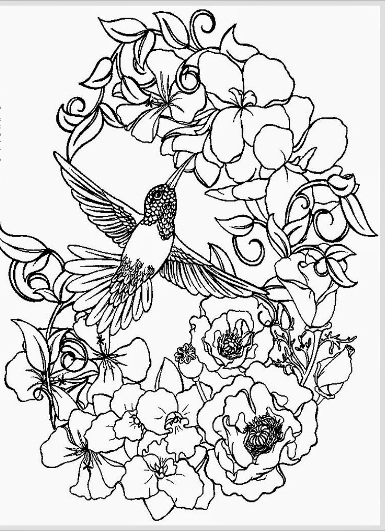 Free Printable Coloring Pages Adult
 Awesome Adult Coloring Coloring Pages