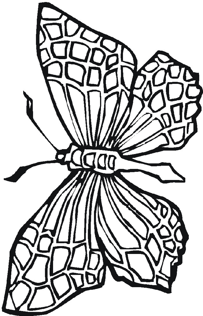 Free Printable Coloring Sheets
 Stained Glass Coloring Pages