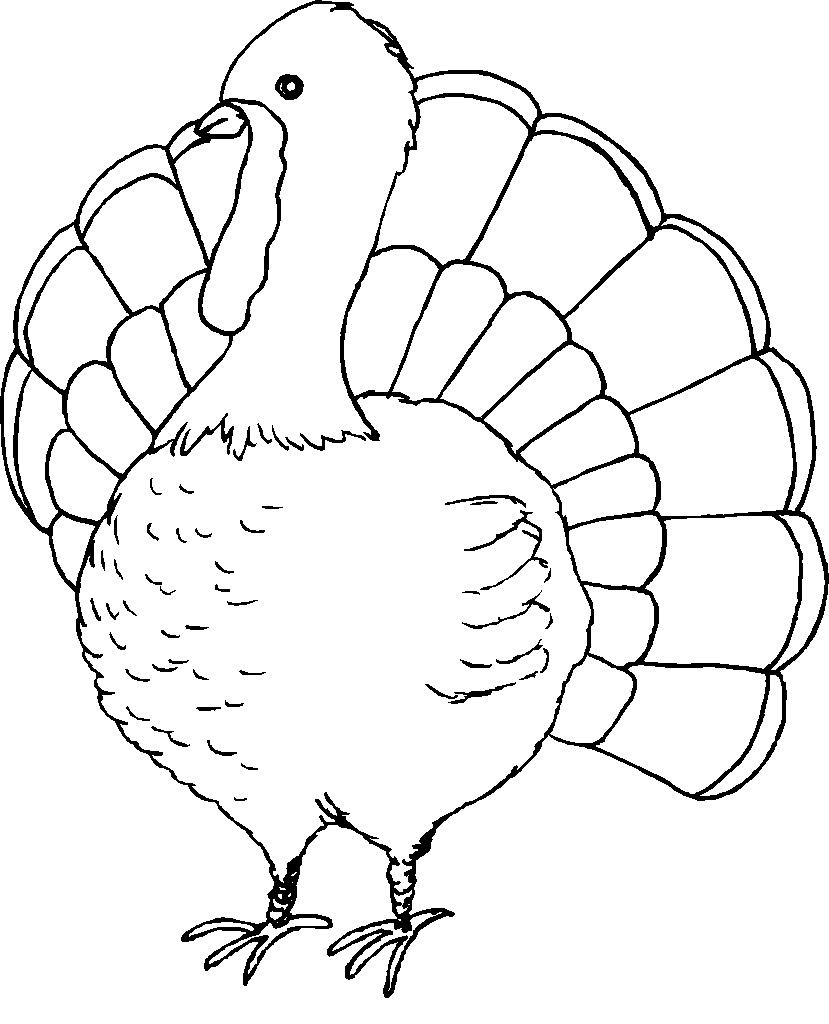 Free Printable Turkey Coloring Pages
 Free Coloring Pages Turkey Disney Coloring Pages