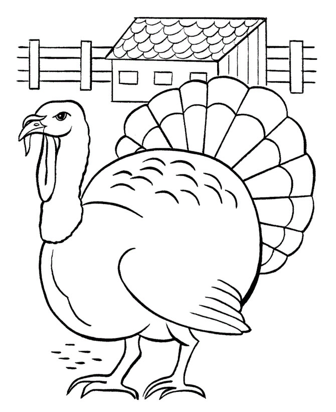 Free Printable Turkey Coloring Pages
 Free Printable Turkey Coloring Pages For Kids