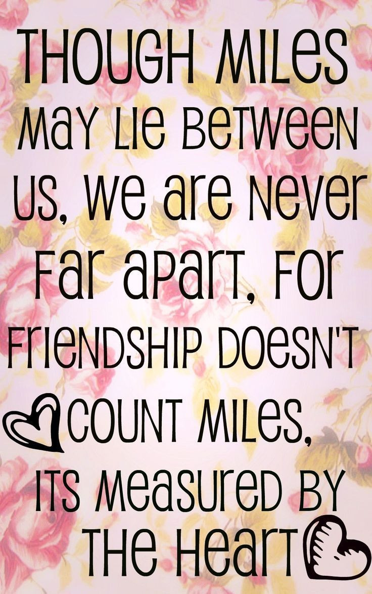 Friendship Quote
 30 Best Friendship Quotes – The WoW Style