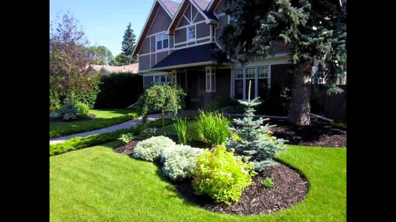 Front Yard Landscape Ideas
 Small Home trees for front garden ideas