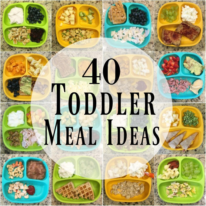 Fun Healthy Dinners For Kids
 40 Healthy Toddler Meals