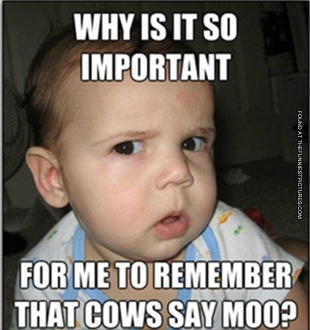 Funny Baby Pictures With Quotes
 Funny Baby Quotes And Cute Picture QuotesGram