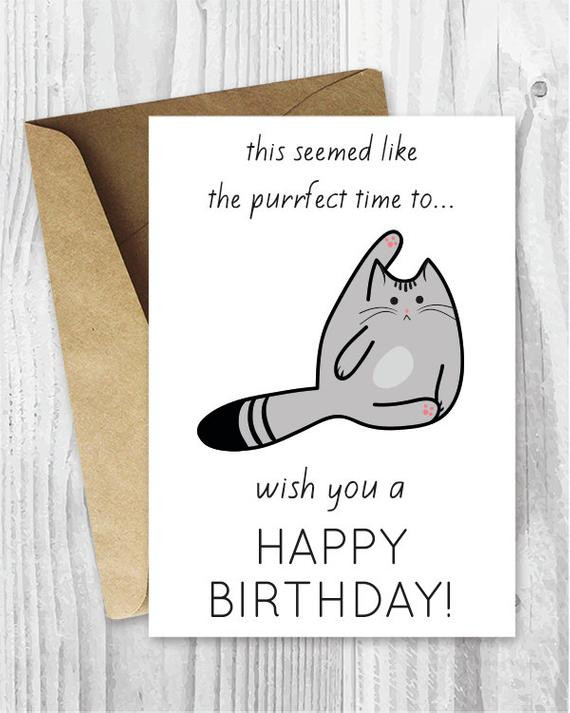 Funny Birthday Greeting Cards
 Funny Birthday Cards Printable Birthday Cards Funny Cat