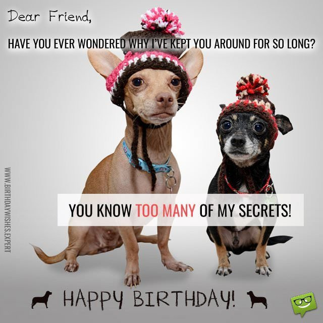 Funny Birthday Wishes For Best Friend
 Huge List of Funny Birthday Quotes