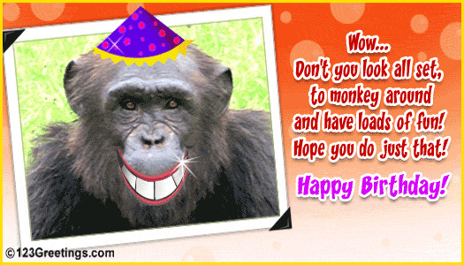 Funny Birthday Wishes For Friend
 Funny Birthday Quotes Birthday
