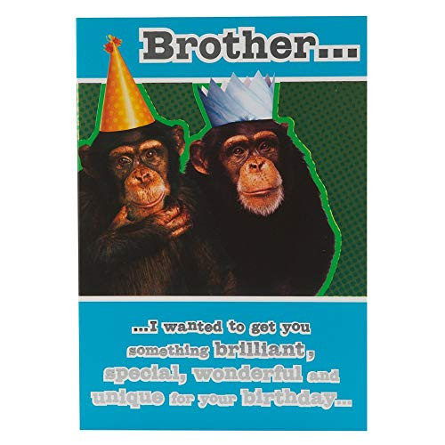 Funny Birthday Wishes To Brother
 Funny Brother Birthday Card Amazon