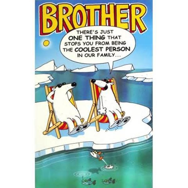 Funny Birthday Wishes To Brother
 Big Brother Little Brother Birthday Quotes To Funny