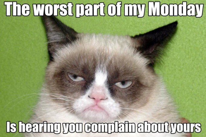 Funny Grumpy Cat Quotes
 Funny Grumpy Cat Quotes Worth Sharing
