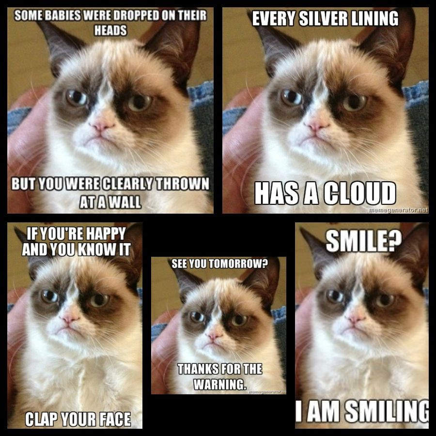 Funny Grumpy Cat Quotes
 Grumpy Cat Quotes Titanic QuotesGram